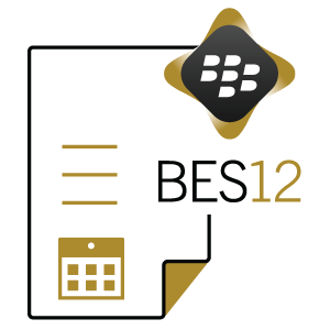 BlackBerry Lizenzen